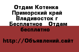 Отдам Котенка - Приморский край, Владивосток г. Бесплатное » Отдам бесплатно   